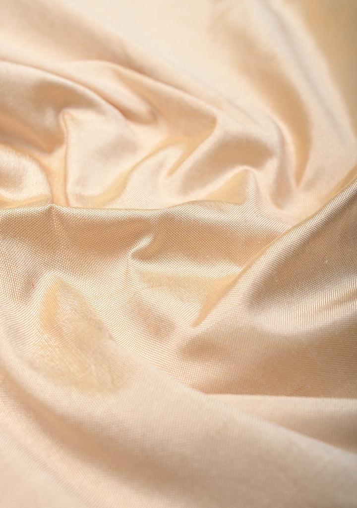 Beige Pochampally Ikkat Pure Silk Saree with Black Border | SILK MARK CERTIFIED