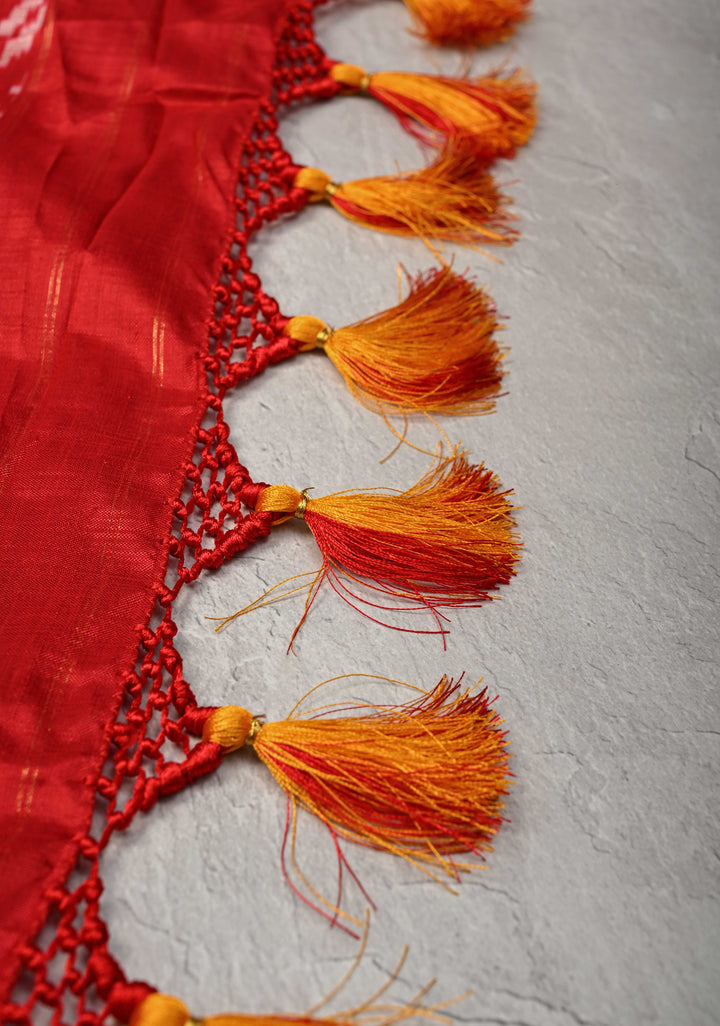 Red Pochampally Ikkat Kanjivaram Pure Silk Saree with Patola Brocade and Zari Border  | SILK MARK CERTIFIED