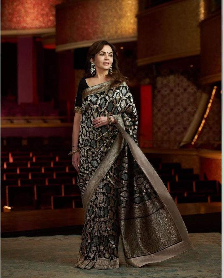 Exquisite Black Banarasi Alfi Jaal Silk Saree  | SILK MARK CERTIFIED