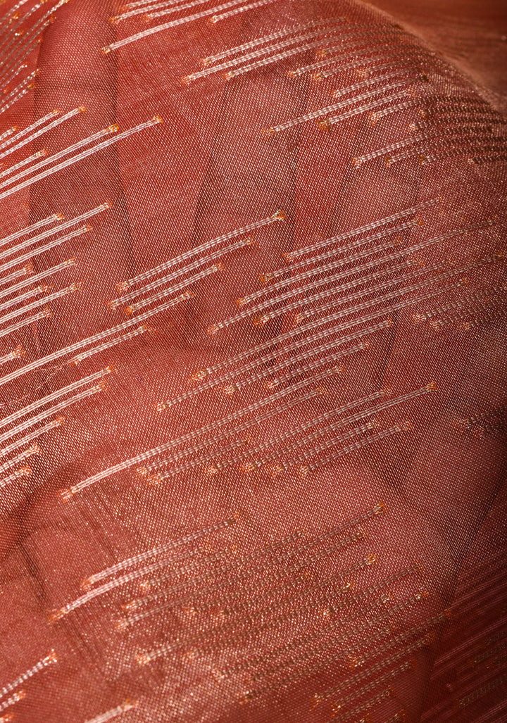 Coral Red Banarasi Tissue Silk Saree with Zari Patterns and Border  | SILK MARK CERTIFIED