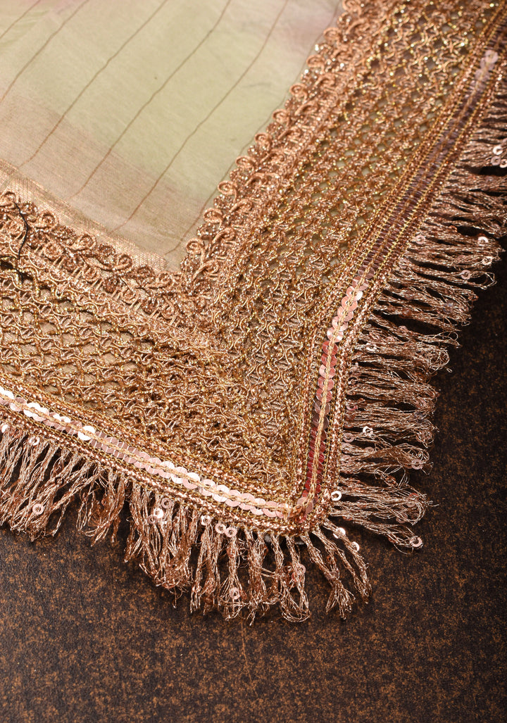 Beige Pure Organza Silk Saree with Floral Digital Print and Lace Trim Border | SILK MARK CERTIFIED