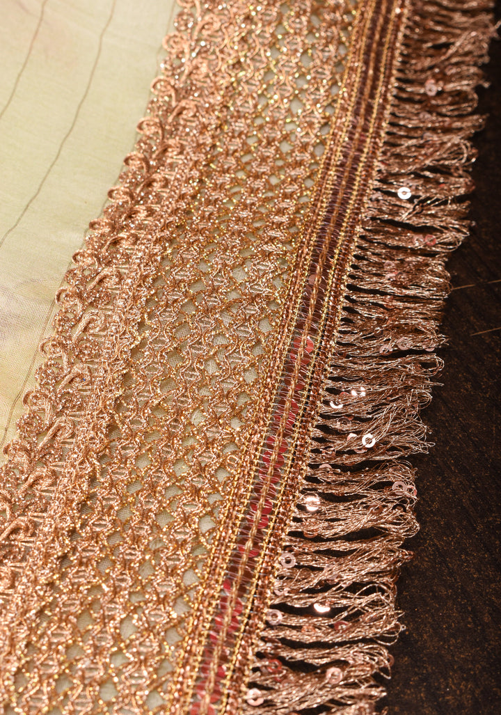 Beige Pure Organza Silk Saree with Floral Digital Print and Lace Trim Border | SILK MARK CERTIFIED