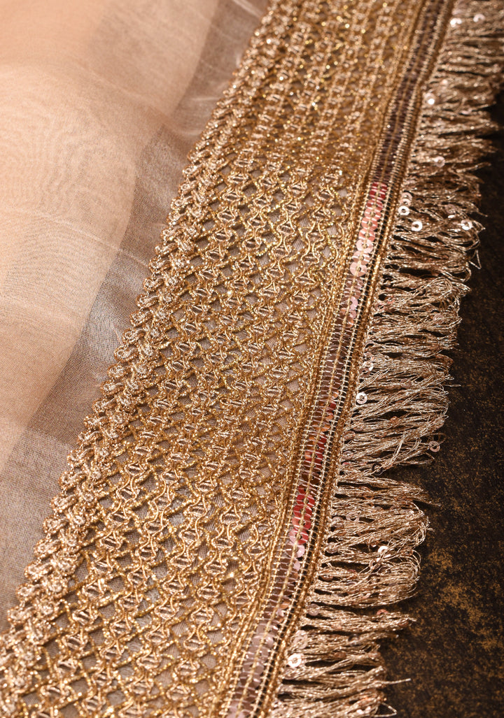 Blush Pure Banarasi Organza Silk Saree with Floral Digital Print and Lace Trim Border | SILK MARK CERTIFIED