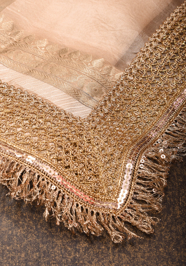 Blush Pure Banarasi Organza Silk Saree with Floral Digital Print and Lace Trim Border | SILK MARK CERTIFIED
