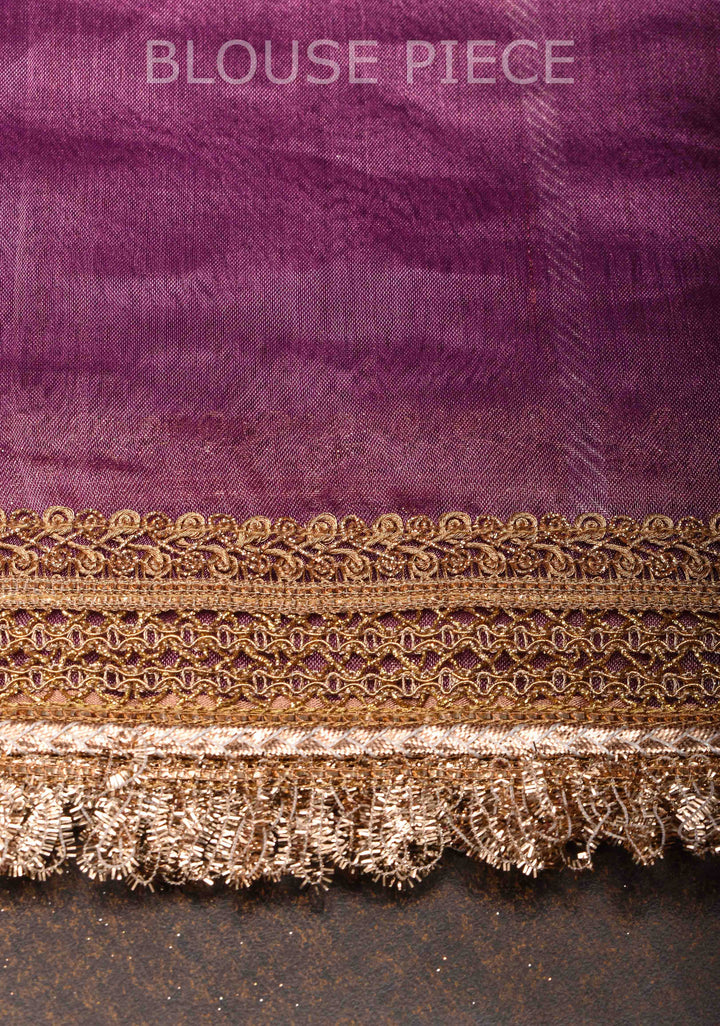 Magenta Banarasi Tissue Handloom Saree with Vertical Sona Rupa and Lace Border | SILK MARK CERTIFIED