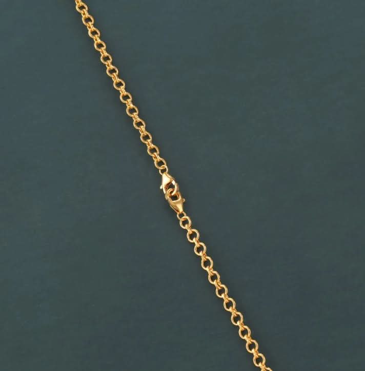 10" 925 silver Fish Hook Back Chain