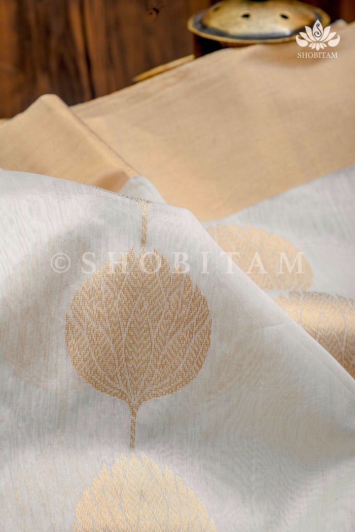 Celebrity White-Gold Chanderi Silk Saree | Shobitam Saree