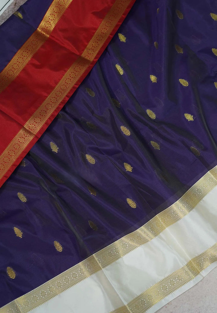 Blue Saree with ganga Jamuna Borders in Semi Silk| SHOBITAM