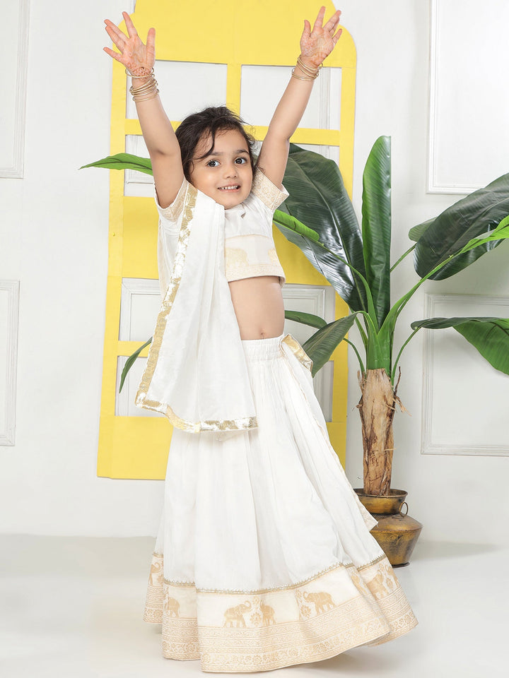 Cream Elephant Zari Embroidery Chanderi Cotton Lehenga Set | SHOBITAM