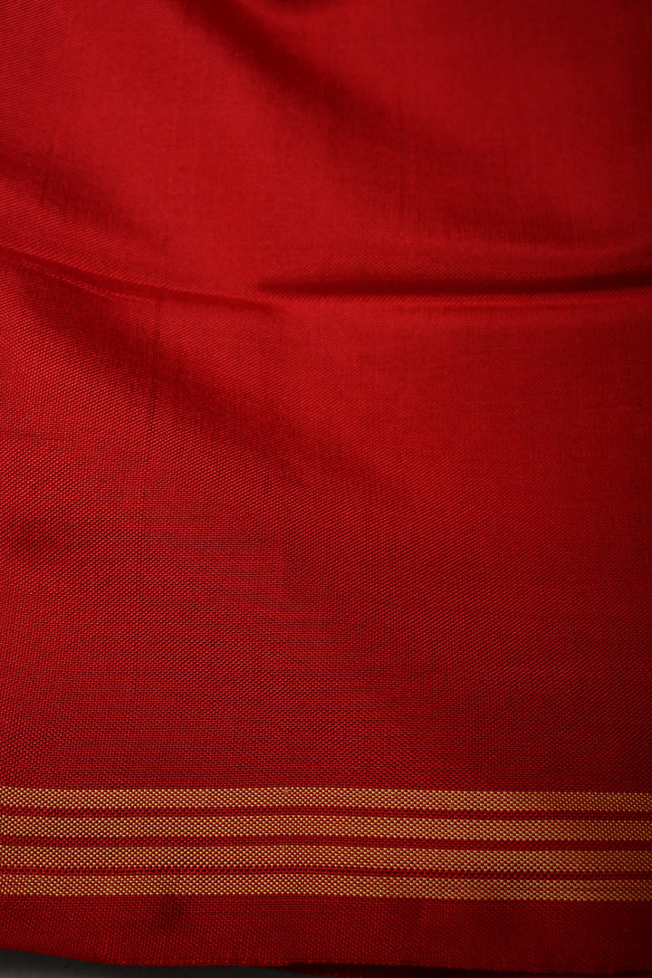 Multicolor Authentic Patan Patola Single Ikkat Pure Silk Saree With Rangkaat Design and Contrast Red Border| SILK MARK CERTIFIED | SHOBITAM