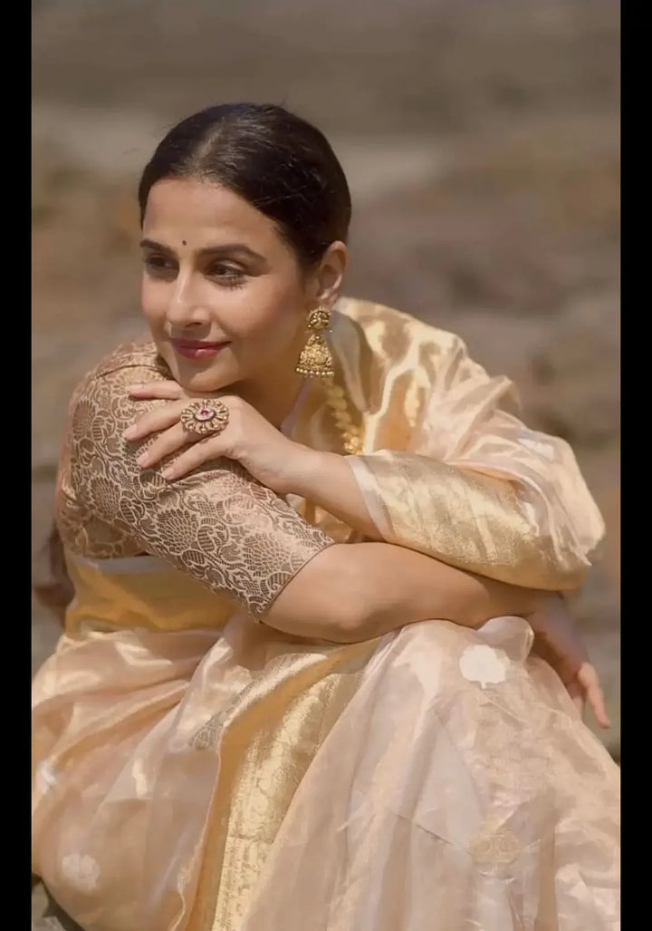 Stunning Golden Tissue Pure Silk Banarasi Saree with Sona Rupa Damask Motifs and Gold Zari Border | SILK MARK CERTIFIED