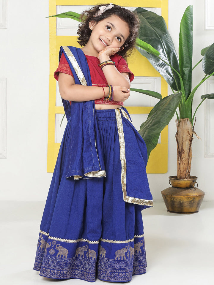Blue Elephant Zari Embroidery Chanderi Cotton Lehenga with Stitched Red Blouse Set | SHOBITAM