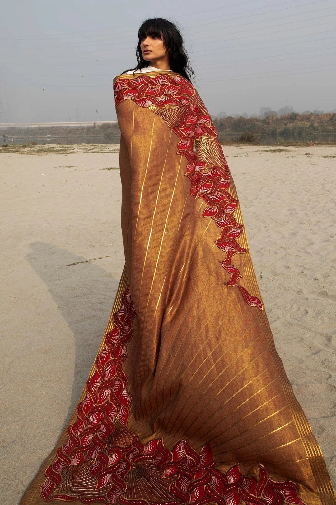 Stunning Handwoven Pashmina Zari Reversible Embroidered Shawl for Men & Women - MILAN