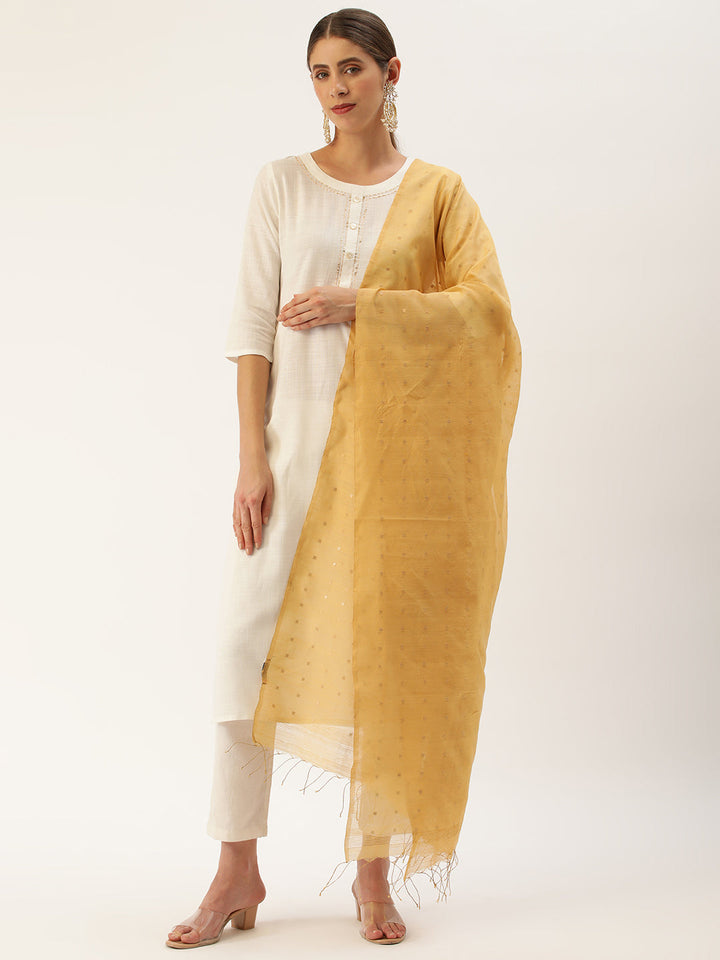Handloom Beige & Gold Sequins Silk Cotton Dupatta | SHOBITAM