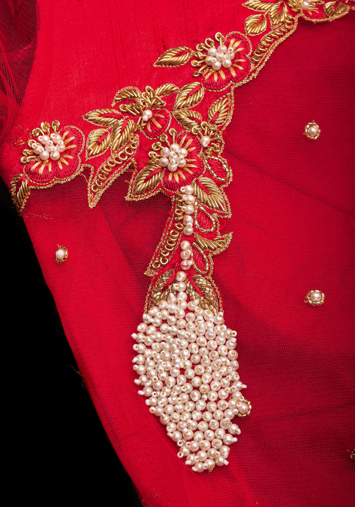 Red Pure Raw silk with Zardosi handwork Peacock design on Net Back and Sleeves