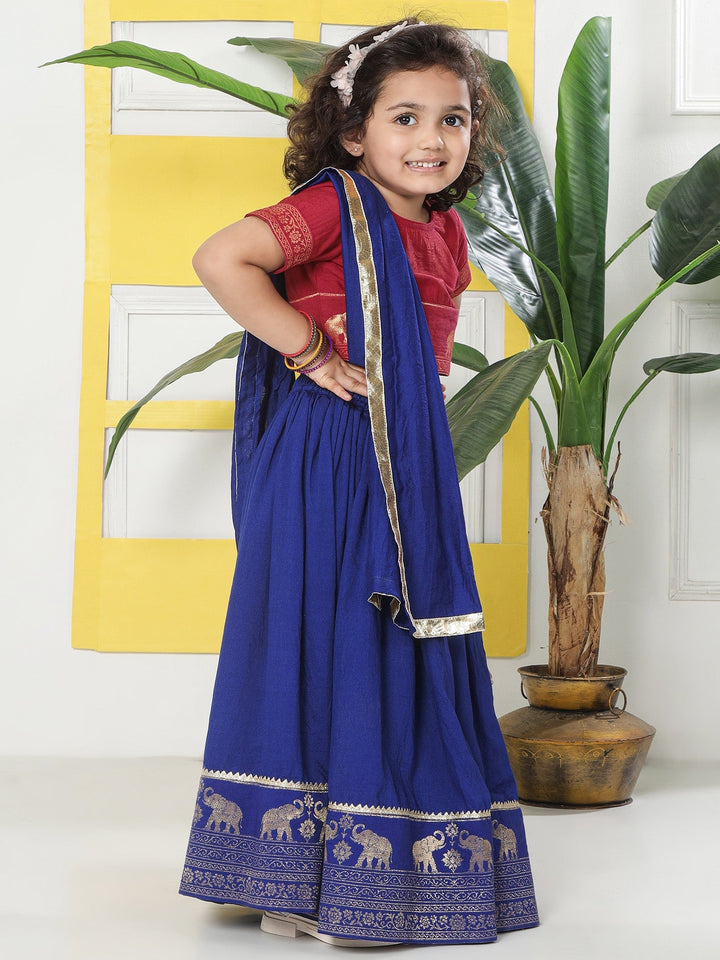 Blue Elephant Zari Embroidery Chanderi Cotton Lehenga with Stitched Red Blouse Set | SHOBITAM