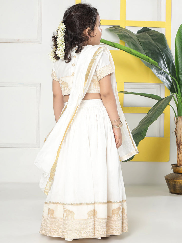 Cream Elephant Zari Embroidery Chanderi Cotton Lehenga Set | SHOBITAM