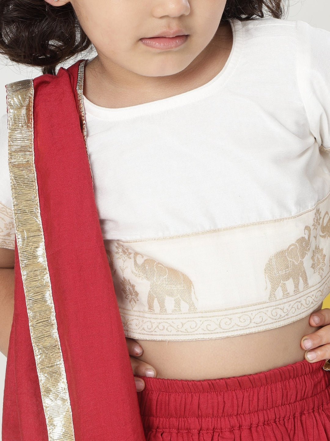 Red Elephant Zari Embroidery Chanderi Cotton Lehenga with Stitched Cream Blouse Set | SHOBITAM