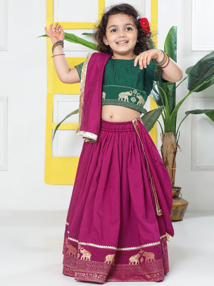 Grapevine Elephant Zari Embroidery Chanderi Cotton Lehenga with Stitched Green Blouse Set | SHOBITAM