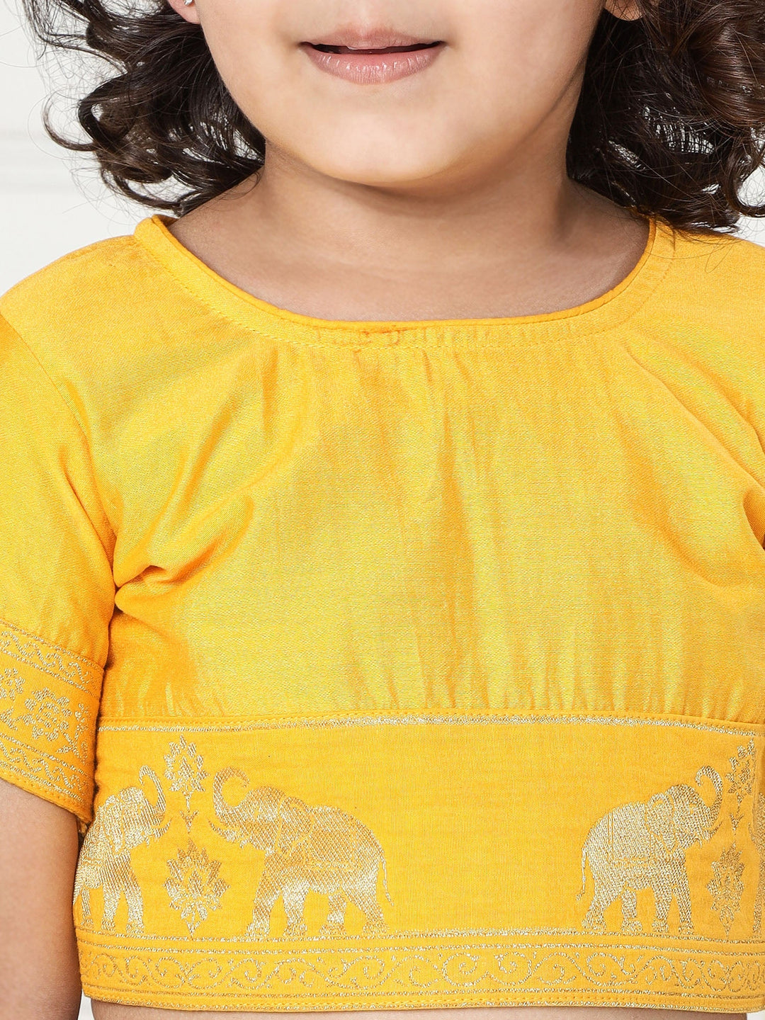 Purple Elephant Zari Embroidery Chanderi Cotton Lehenga with Stitched Yellow Blouse Set | SHOBITAM