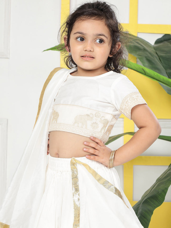 Cream Elephant Zari Embroidery Chanderi Cotton Lehenga Set | SHOBITAM