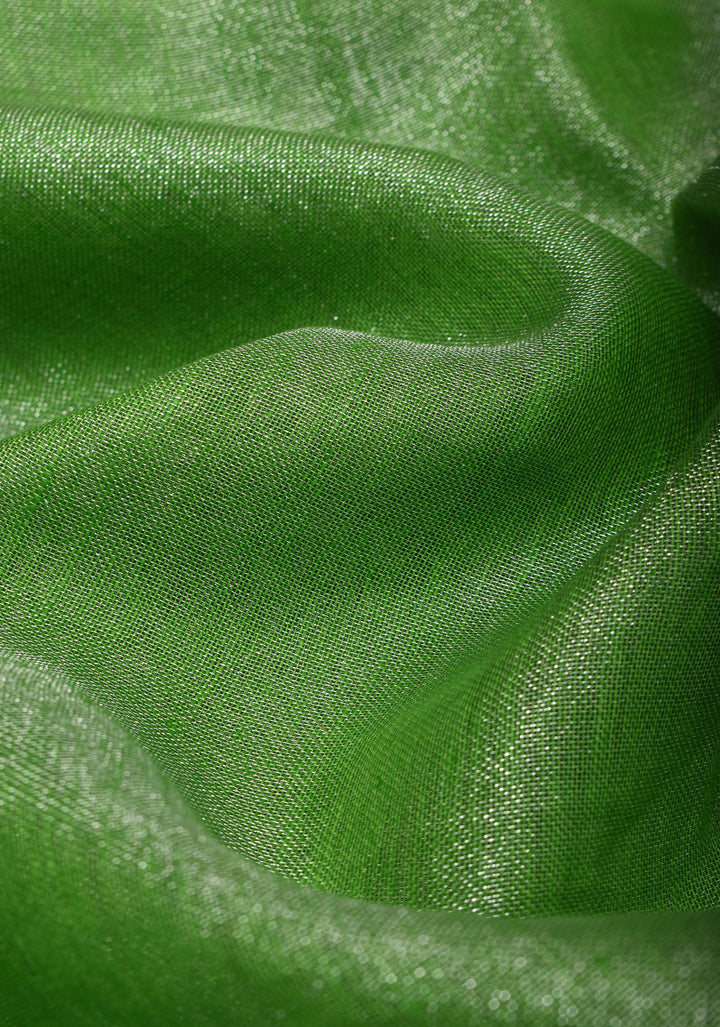 Green Silver Tissue Linen Saree with Silver Ribbed Zari Borders and Panel Pallu