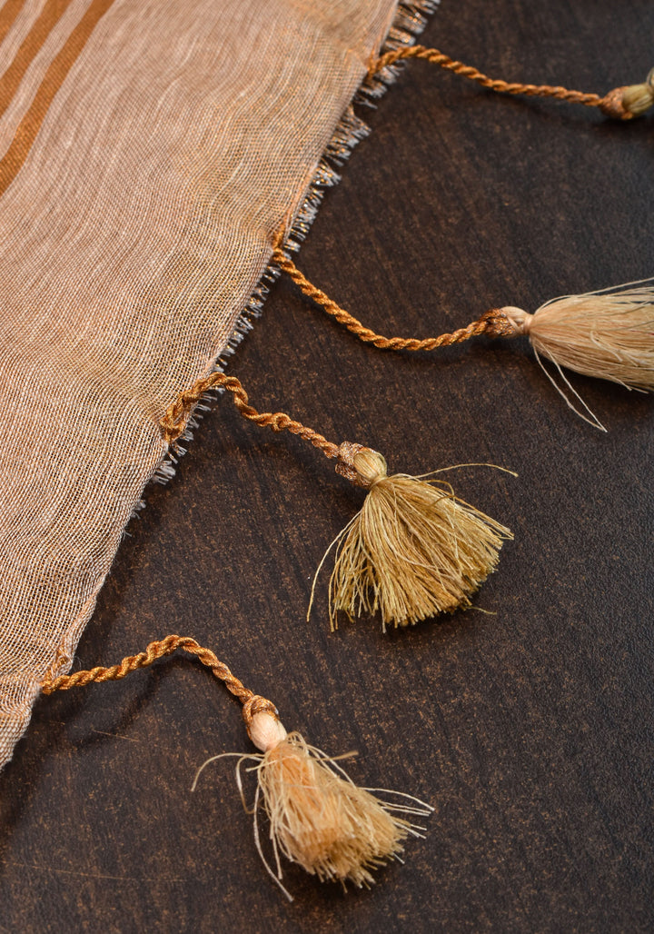 Tissue Linen Saree in Tan Tissue with  Bead and embroidery handwork