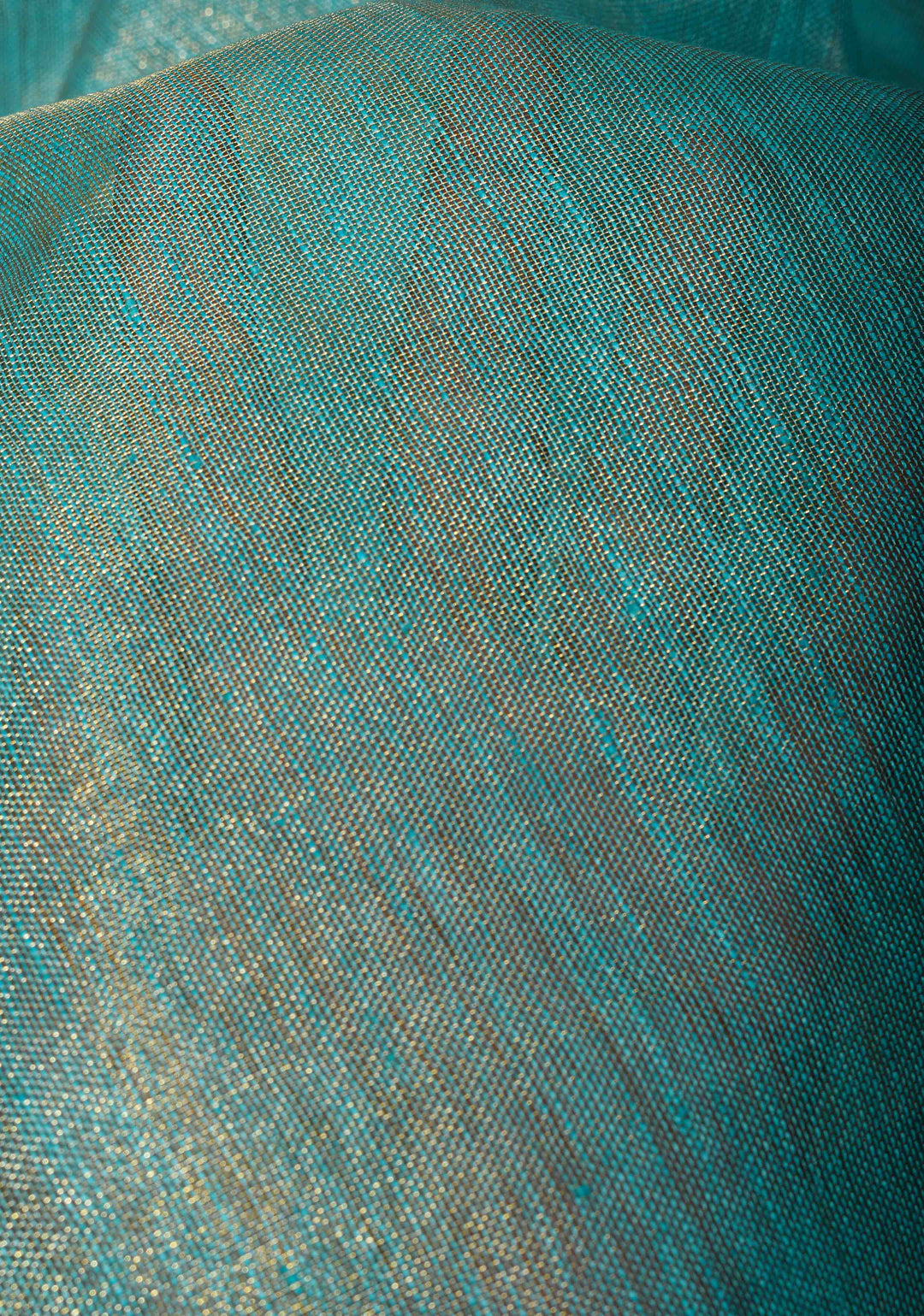 Sea Green Scalloped Tissue Linen Saree and Golden border