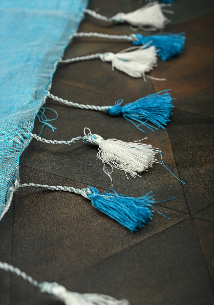 Hand Beadwork on Tissue Linen Saree in Sky Blue with Silver Tissue