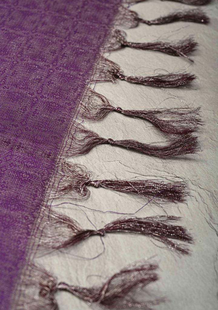 Coffee Brown Semi Tussar Tissue Saree with Contrast Silver Zari Border