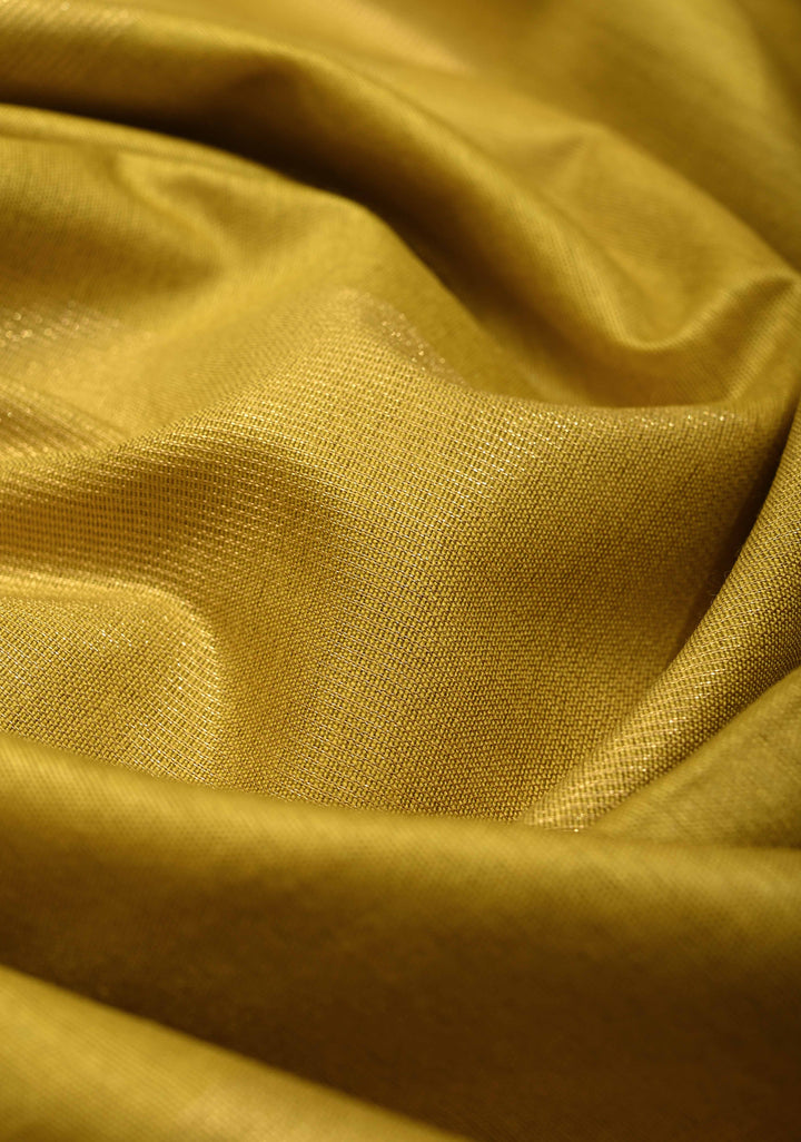 Moss Green Borderless Semi Tussar Saree with Muted Tissue Panel and Contrast Sequins Pallu