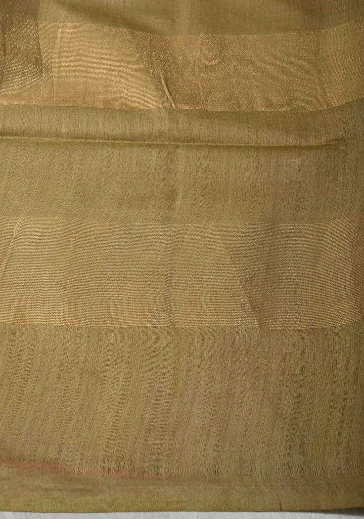 Salmon Pink Borderless Semi Tussar Saree with Muted Tissue Panel and Contrast Sequins Pallu