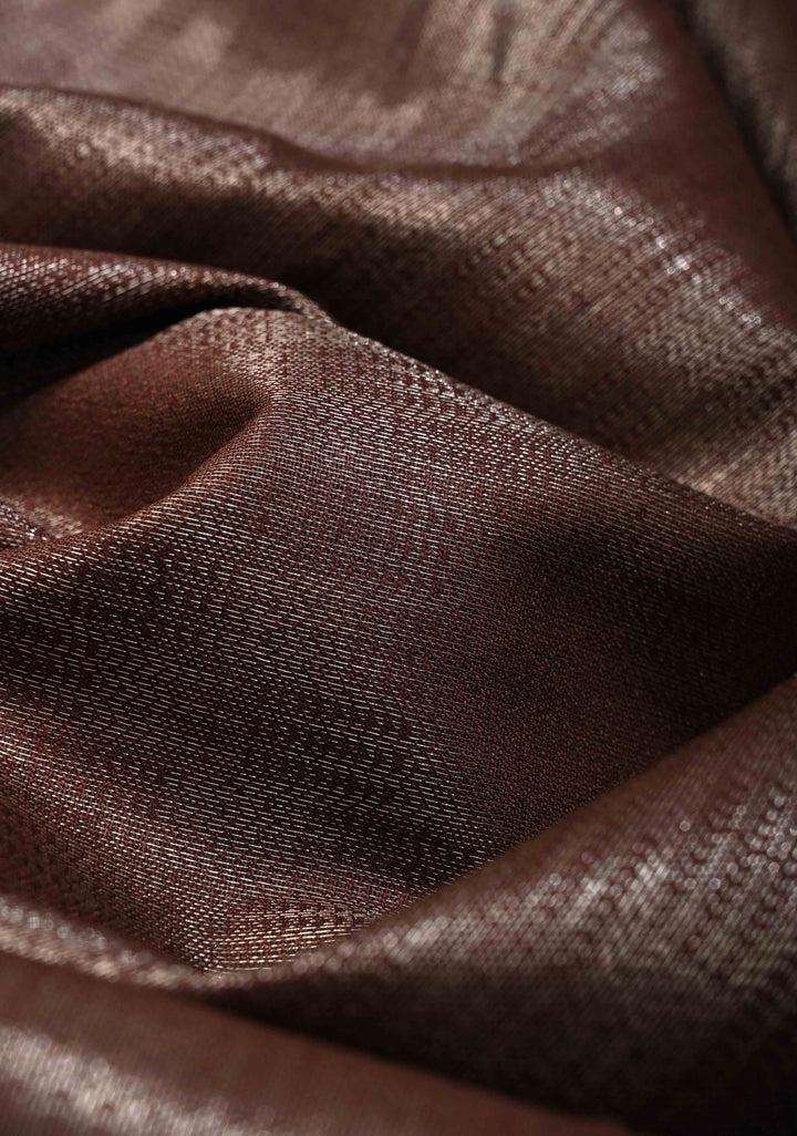 Brown Semi Tussar Tissue Saree with Contrast Zari Border and Pallu