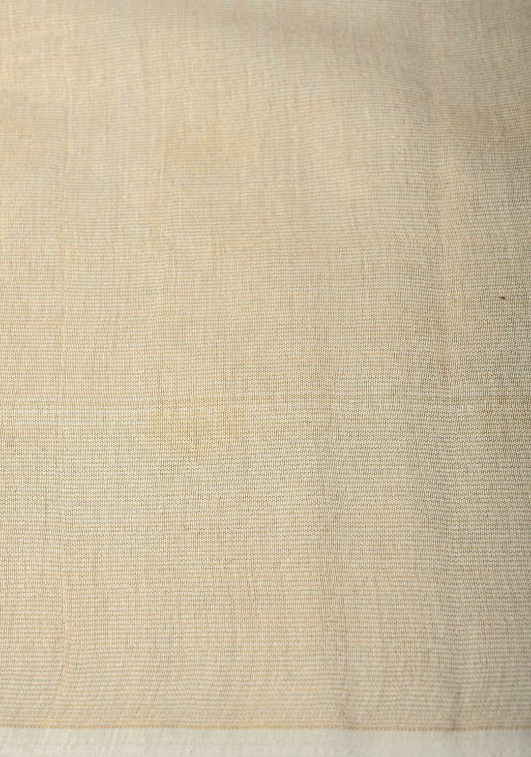 Ivory Borderless Semi Tussar Tissue Saree with Thread Buttas | SHOBITAM