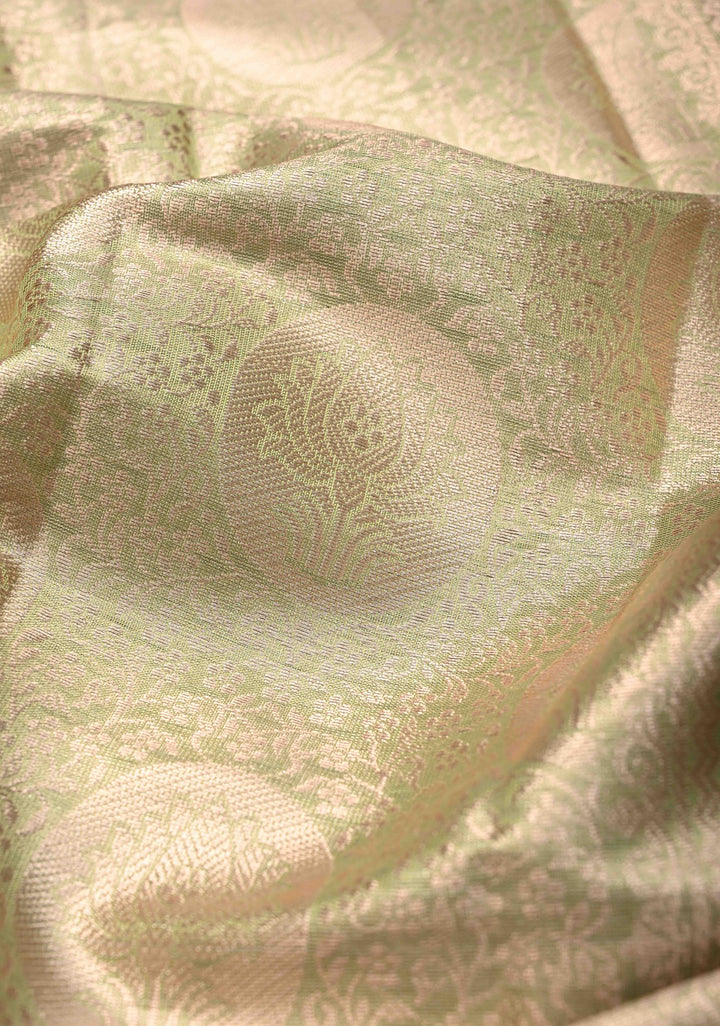 Pista Green Kanjivaram Tissue Semi Silk Saree with Brocade Jaal and Zari Border