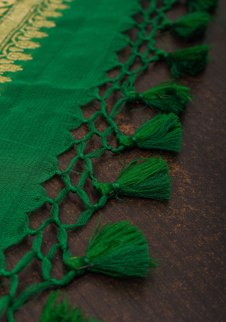 Green Banarasi Pure Chiffon Saree with Alfi Geometric Jaal  | SILK MARK CERTIFIED