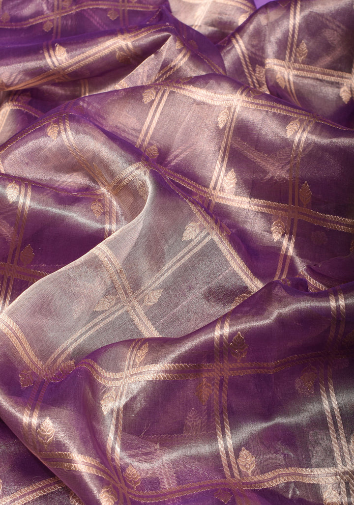 Amethyst Tissue kadhuwa Zari Checks  Pure Silk Banarasi Saree with Plain Border  | SILK MARK CERTIFIED