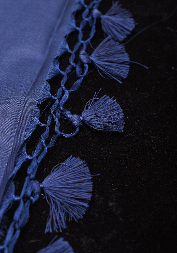 Space Cadet tone Exquisite Meenakari Rose Jaal Semi Silk Saree and zari border