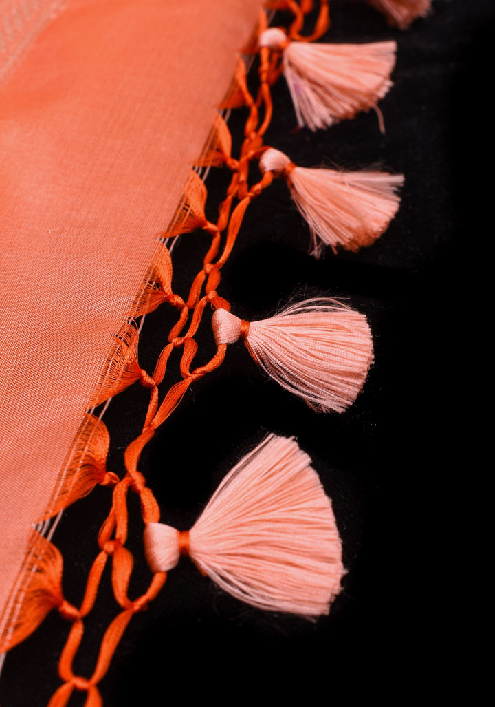 Coral Peach Exquisite Meenakari chevron Floral Jaal Pure Katan Silk Banarasi Saree with scallop border  | SILK MARK CERTIFIED
