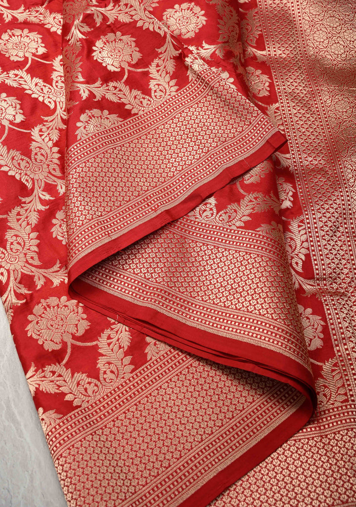 Red jaal Banarasi Katan Silk Saree with Zari Border  | SILK MARK CERTIFIED