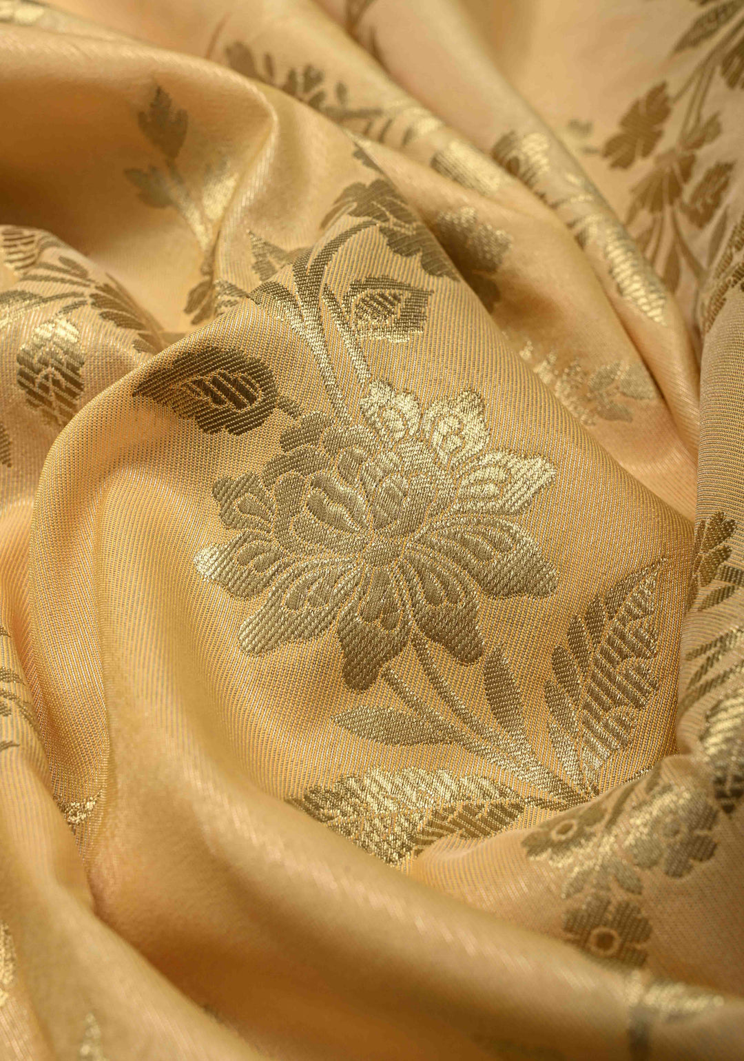 Light Gold Tissue Semi Silk Saree with Leheria Zari Floral Vine Pattern and Zari Border