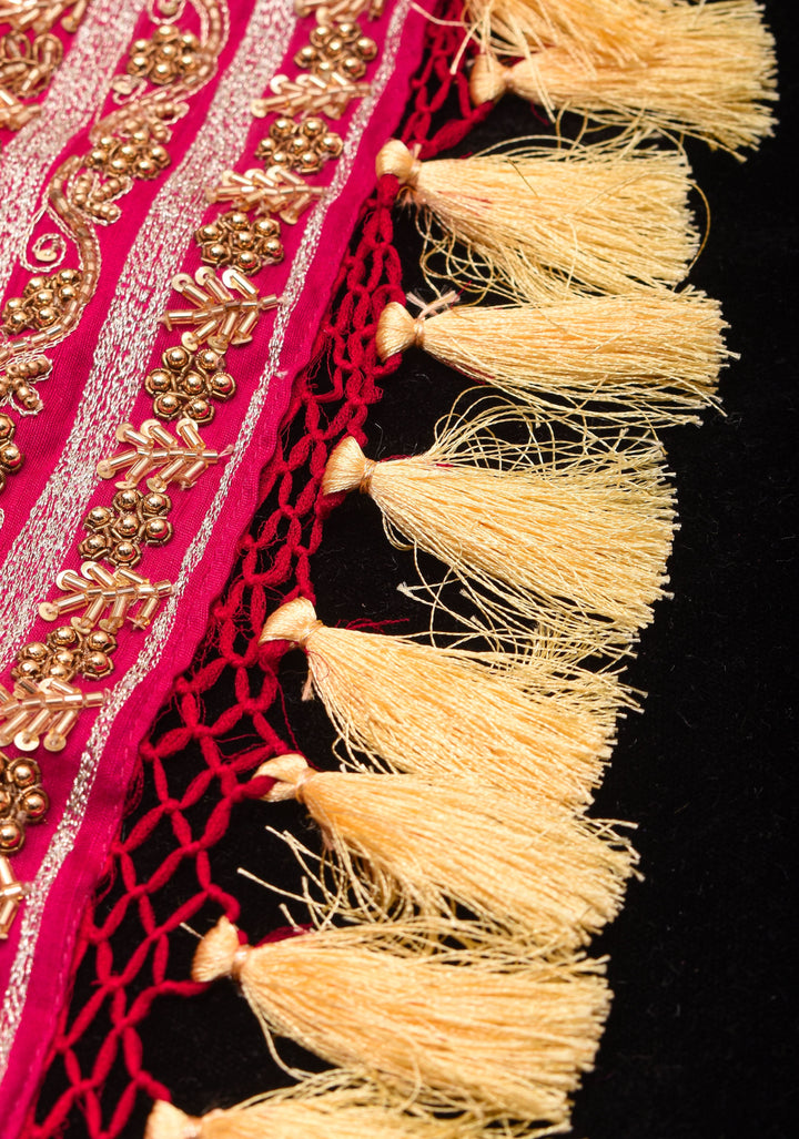 Authentic Sarkam Bandhej Silk Georgette Saree in Red with Handwork trim | SILK MARK CERTIFIED
