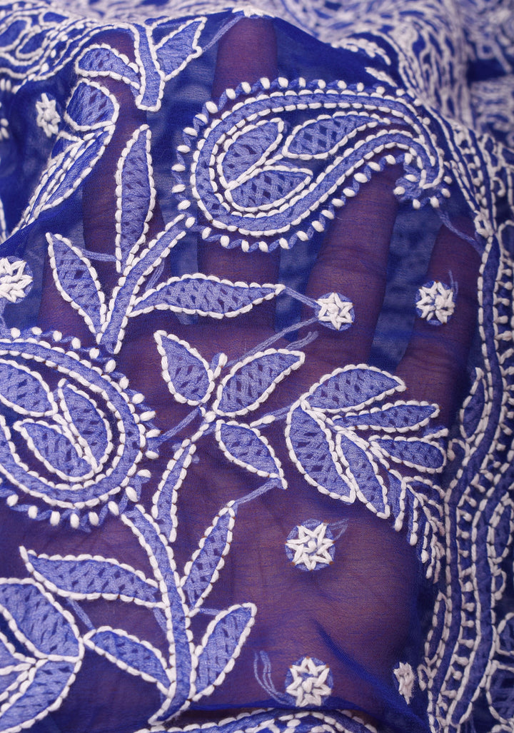 Blue Fusion Saree with Hand Chikankari on georgette, Pure Silk Kanjivaram  Borders and Pallu