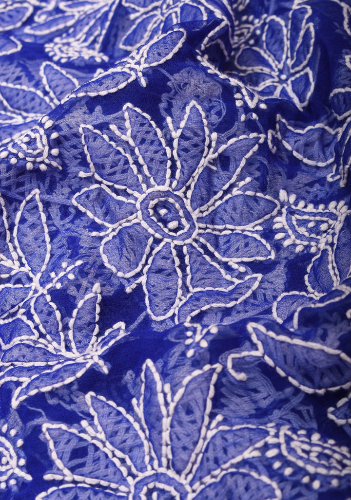 Blue Fusion Saree with Hand Chikankari on georgette, Pure Silk Kanjivaram  Borders and Pallu