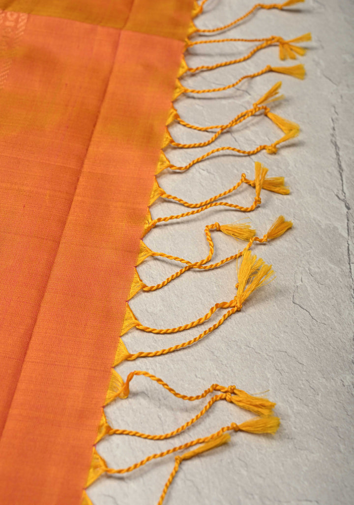 Peacock Blue Dual tone Borderless Kanjivaram Soft Silk Saree with Peacock Motifs  and Contrast Pallu | SILK MARK CERTIFIED