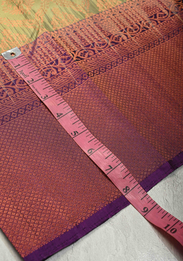 Sage Green Kanjivaram Soft Silk Saree with Brocade Jaal and Contrast Muted Zari Border | SILK MARK CERTIFIED