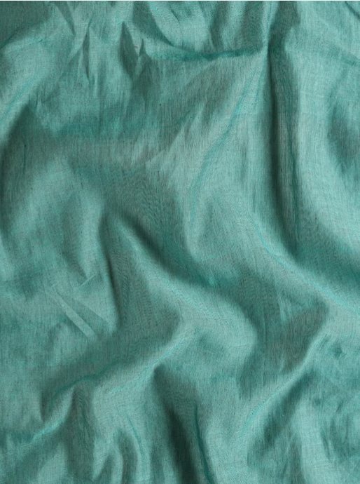 Pure Cotton Handloom Sequins Saree | SHOBITAM