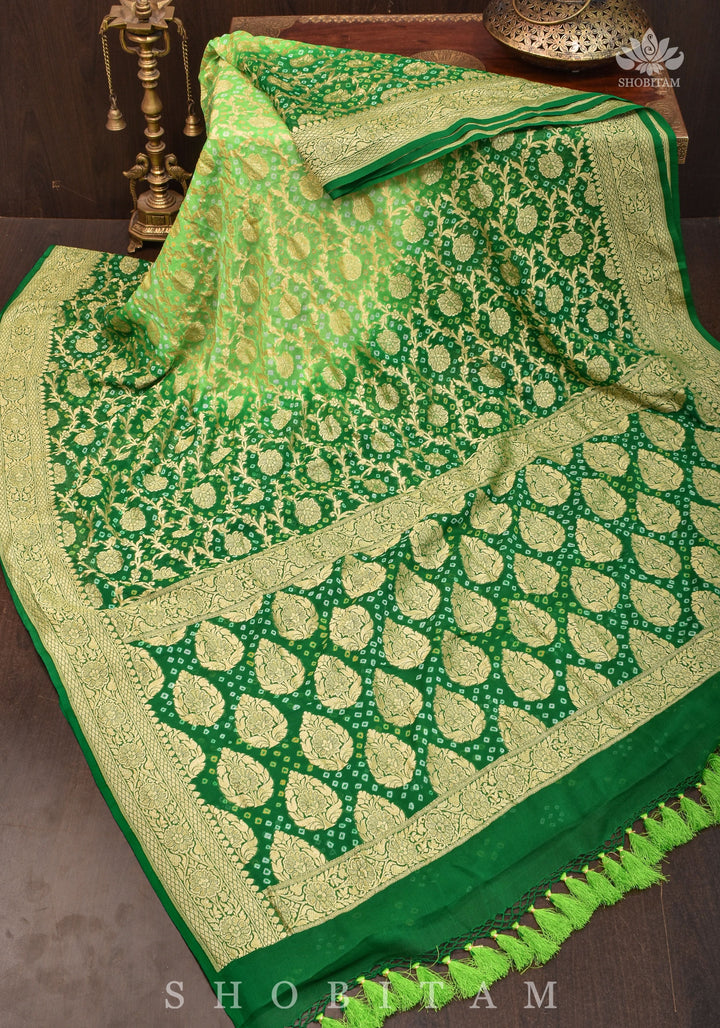 Authentic Hand Bandhej Banarasi Silk Georgette Saree in Ombre shades of Green  | SILK MARK CERTIFIED
