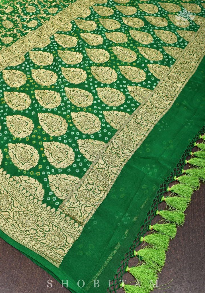 Authentic Hand Bandhej Banarasi Silk Georgette Saree in Ombre shades of Green  | SILK MARK CERTIFIED