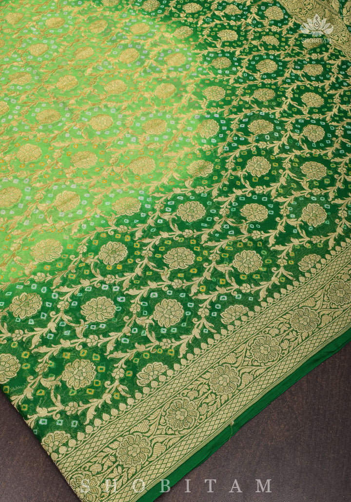 Authentic Hand Bandhej Banarasi Silk Georgette Saree in Ombre shades of Green  | SILK MARK CERTIFIED